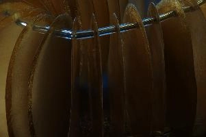 2013-11-10-20.22.33 ZS DMap.jpg